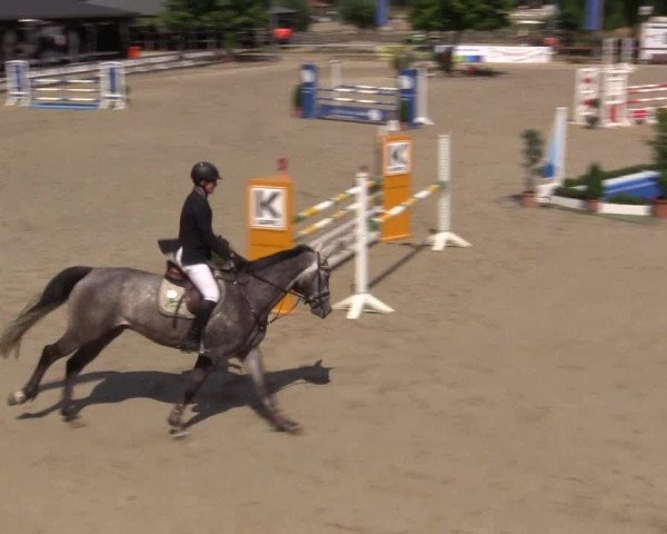 Reitturnier Münster-Roxel 2015