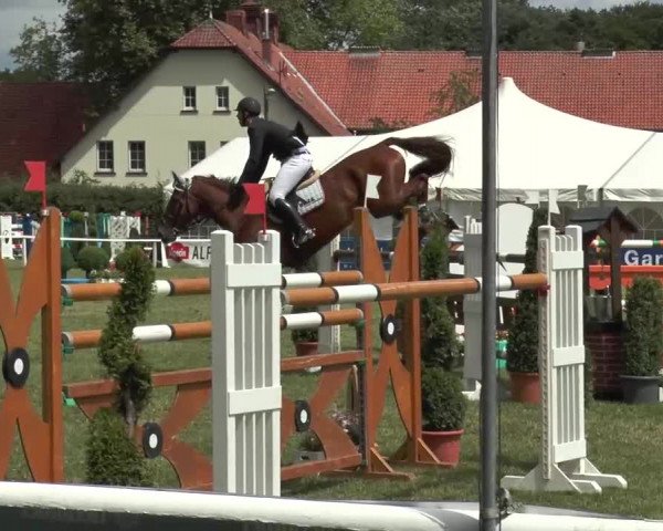 FEI Reitturnier Steinhagen (GER) 2015