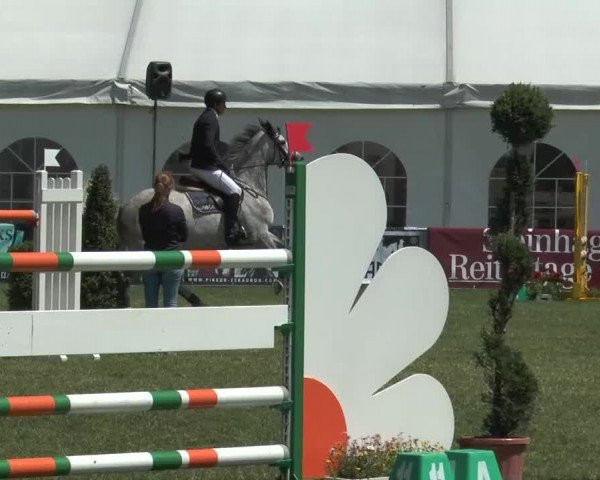 FEI Reitturnier Steinhagen (GER) 2015