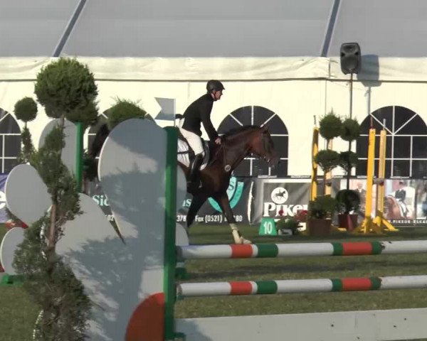FEI Reitturnier Steinhagen (GER) 2015