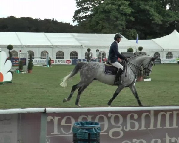 FEI Reitturnier Steinhagen (GER) 2015