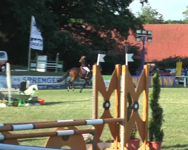 FEI Reitturnier Steinhagen (GER) 2015