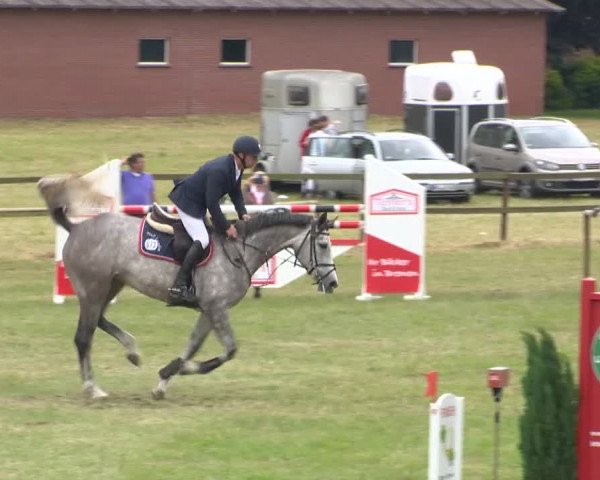 Reitturnier Ahlhorn 2015