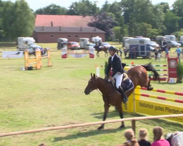 Reitturnier Ahlhorn 2015