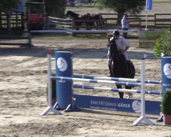 Reitturnier Münster-Roxel 2015