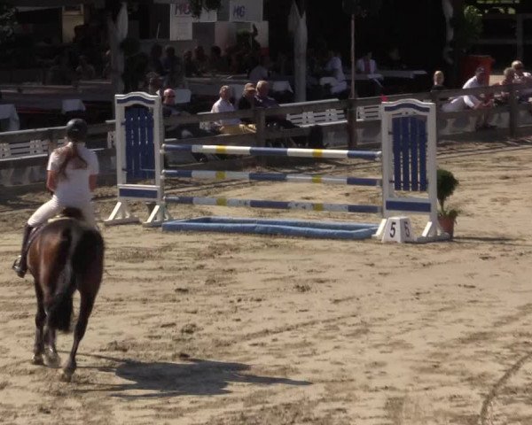 Reitturnier Münster-Roxel 2015