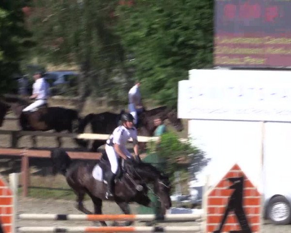 Reitturnier Münster-Roxel 2015