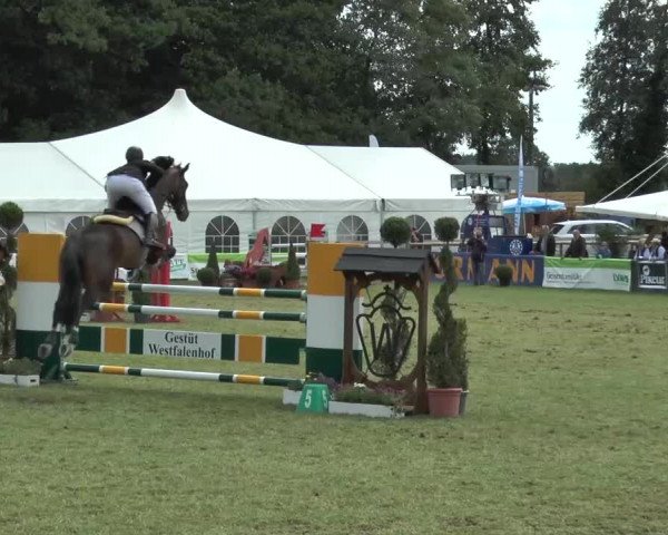 FEI Reitturnier Steinhagen (GER) 2015