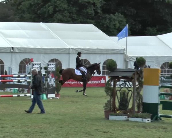 FEI Reitturnier Steinhagen (GER) 2015