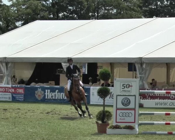 FEI Reitturnier Steinhagen (GER) 2015