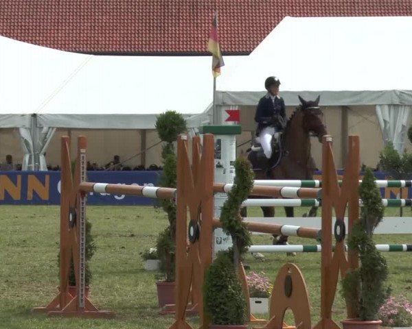 FEI Reitturnier Steinhagen (GER) 2015