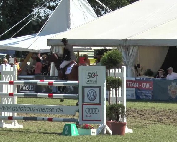 FEI Reitturnier Steinhagen (GER) 2015