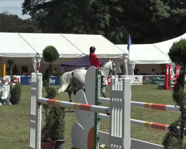 FEI Reitturnier Steinhagen (GER) 2015