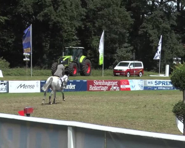 FEI Reitturnier Steinhagen (GER) 2015
