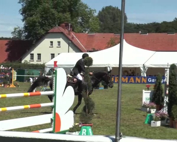 FEI Reitturnier Steinhagen (GER) 2015