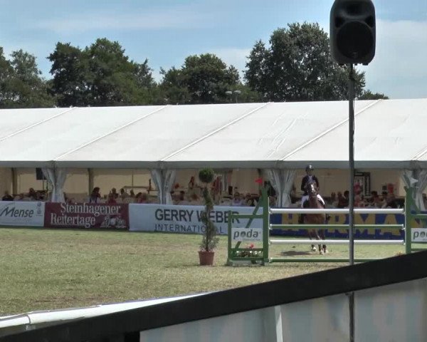 FEI Reitturnier Steinhagen (GER) 2015