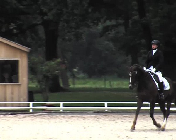 Reitturnier Redefin 2015