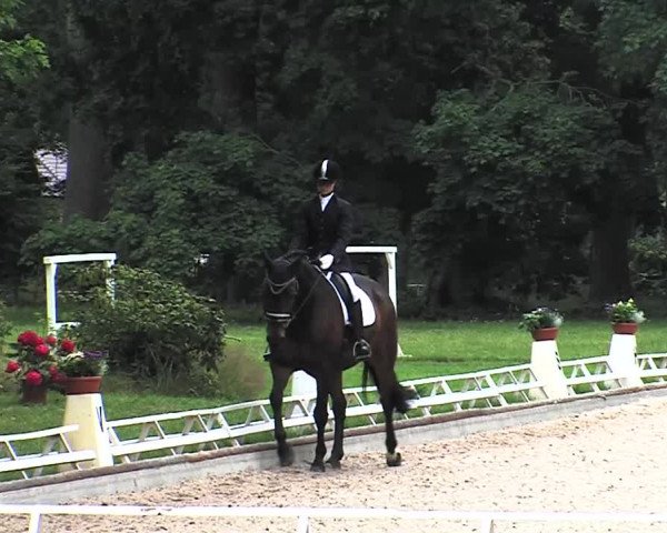 Reitturnier Redefin 2015
