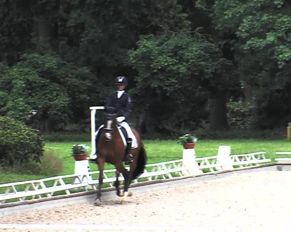 Reitturnier Redefin 2015