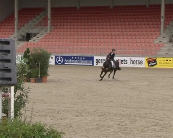 Reitturnier Redefin 2015
