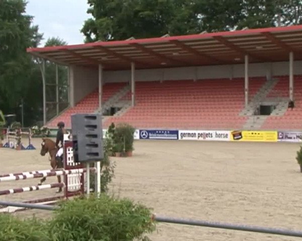 Reitturnier Redefin 2015