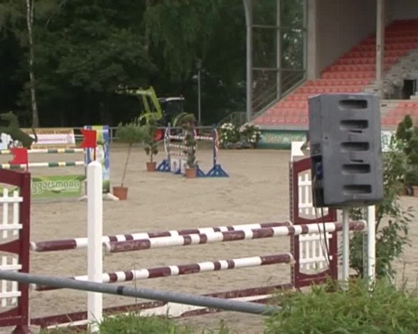 Reitturnier Redefin 2015
