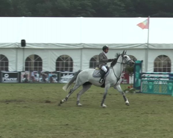 FEI Reitturnier Steinhagen (GER) 2015