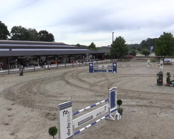 Reitturnier Münster-Roxel 2015