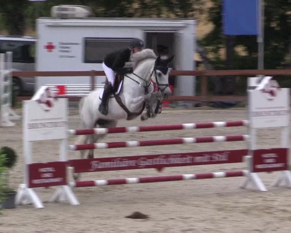 Reitturnier Münster-Roxel 2015