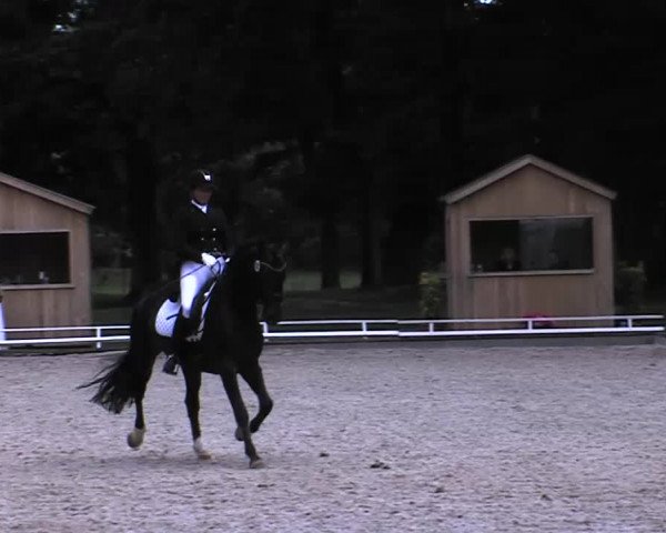 Reitturnier Redefin 2015
