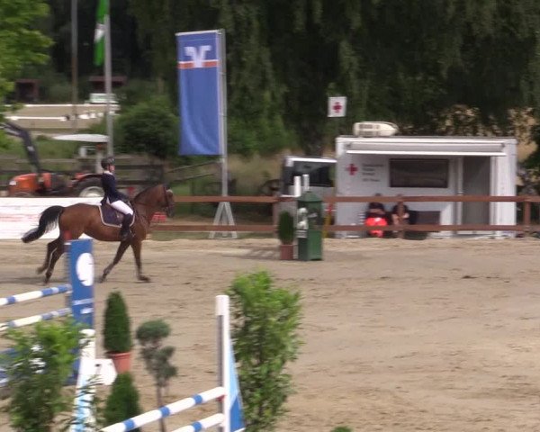 Reitturnier Münster-Roxel 2015