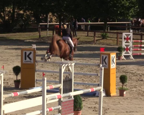 Reitturnier Münster-Roxel 2015