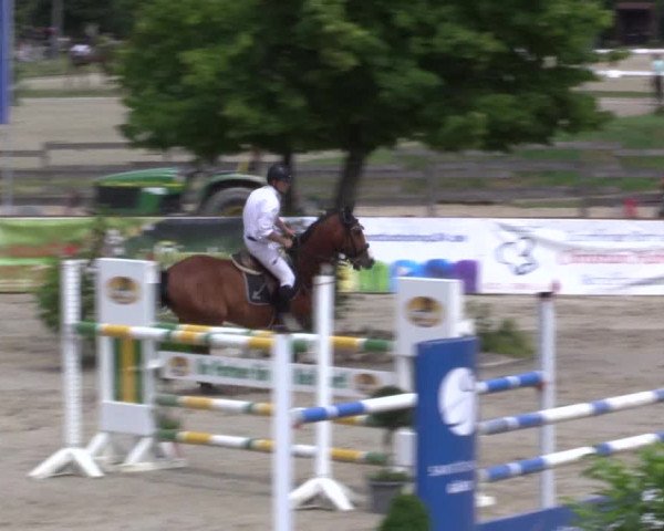 Reitturnier Münster-Roxel 2015