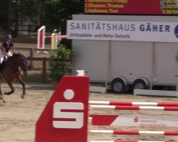 Reitturnier Münster-Roxel 2015