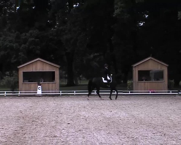 Reitturnier Redefin 2015