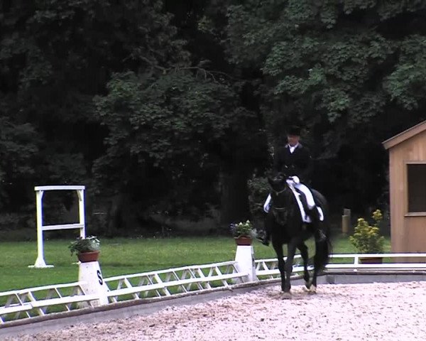 Reitturnier Redefin 2015
