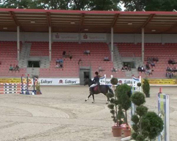Reitturnier Redefin 2015