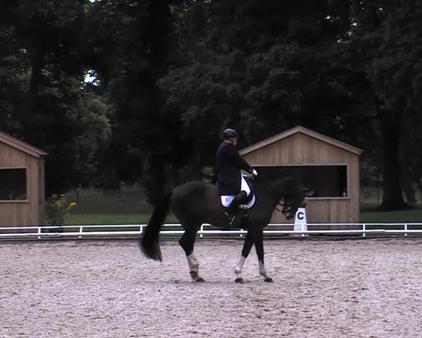 Reitturnier Redefin 2015