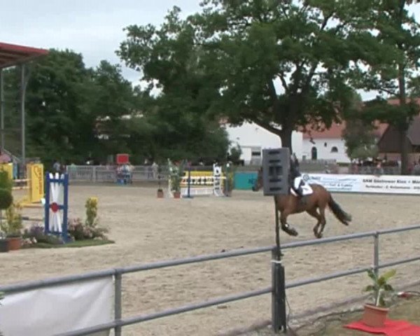 Reitturnier Redefin 2015