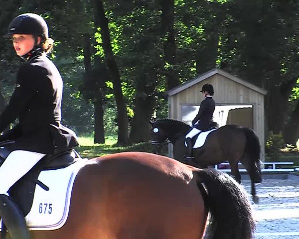 Reitturnier Redefin 2015
