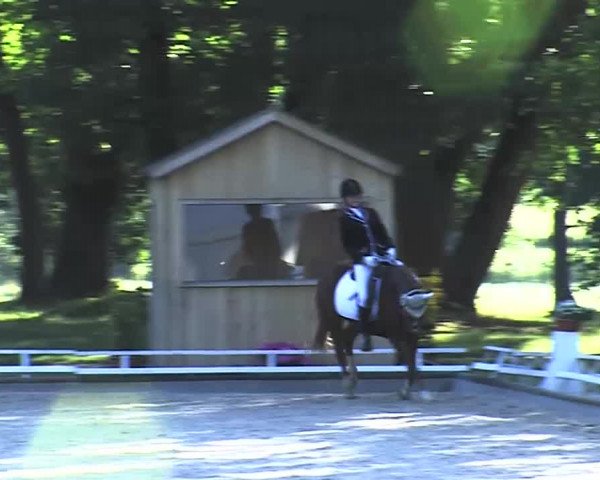Reitturnier Redefin 2015
