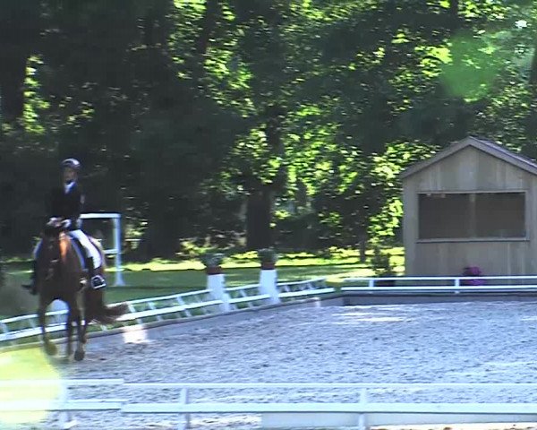 Reitturnier Redefin 2015