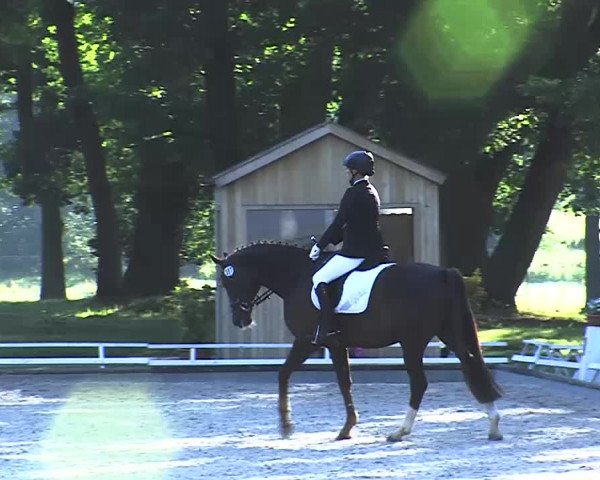 Reitturnier Redefin 2015