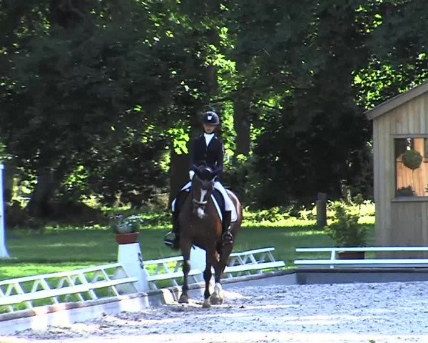 Reitturnier Redefin 2015