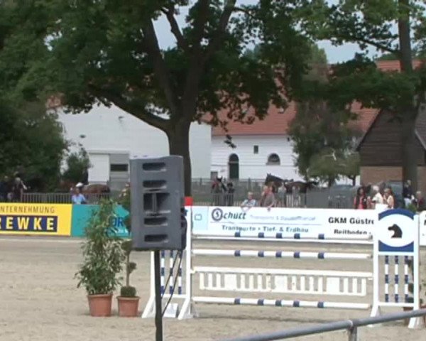 Reitturnier Redefin 2015