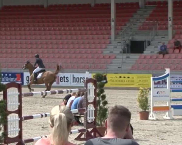 Reitturnier Redefin 2015
