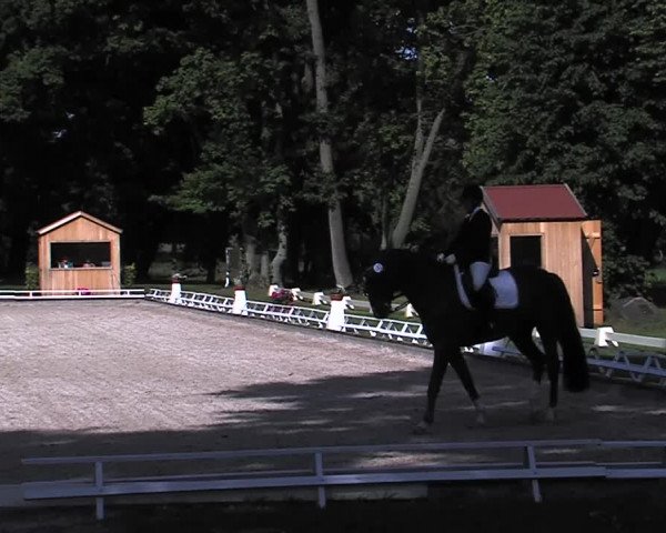 Reitturnier Redefin 2015