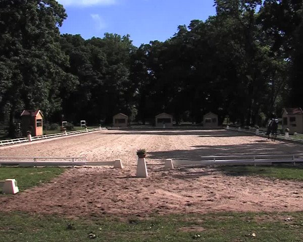 Reitturnier Redefin 2015