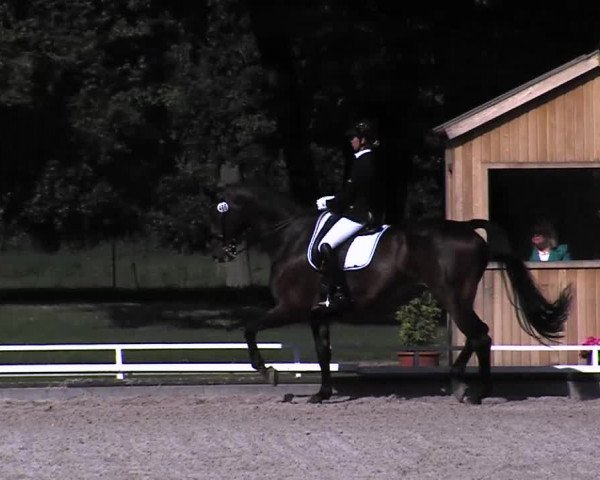 Reitturnier Redefin 2015