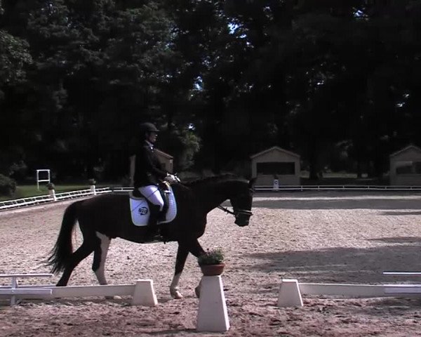 Reitturnier Redefin 2015
